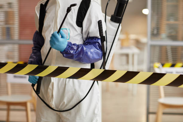 Professional Sewage Cleanup technician working in Clayton, NJ